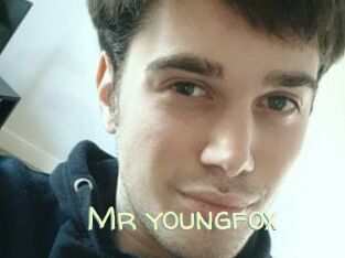 Mr_youngfox