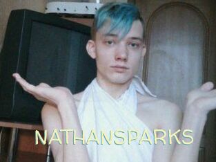 NATHAN_SPARKS