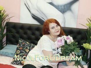 NicolForUDream Sexy Tchat