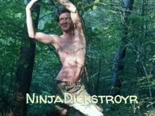 NinjaDickstroyr