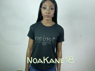 NoaKane18