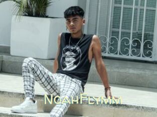 NoahFlymm