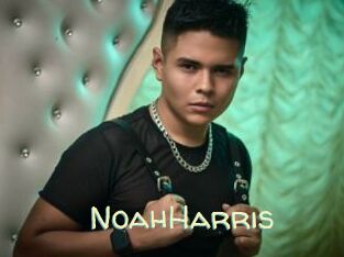 NoahHarris