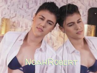 NoahRobert