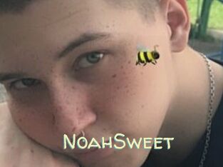 NoahSweet