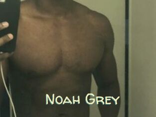 Noah_Grey