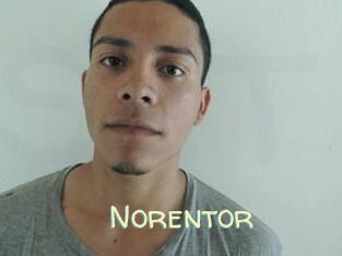 Noren_tor