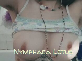 Nymphaea_Lotus