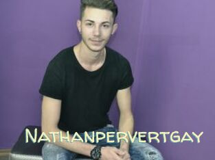 Nathanpervertgay