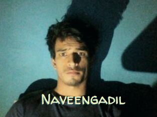 Naveengadil
