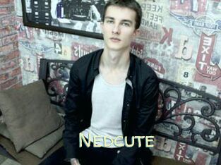 Nedcute