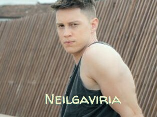 Neilgaviria
