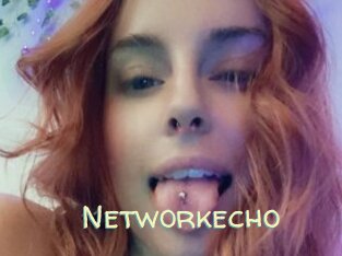 Networkecho