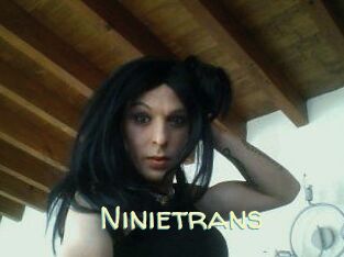 Ninietrans