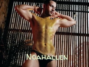 Noahallen