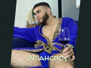 noahcroy Sexy Tchat