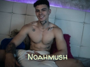 noahmush Sexy Tchat