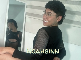 Noahsinn