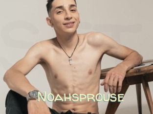Noahsprouse