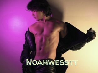 Noahwesstt