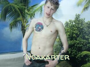Noakarter
