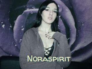 Noraspirit