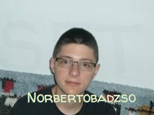 Norbertobadzso