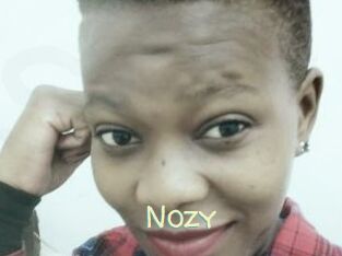 Nozy