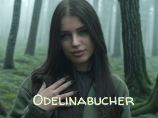Odelinabucher