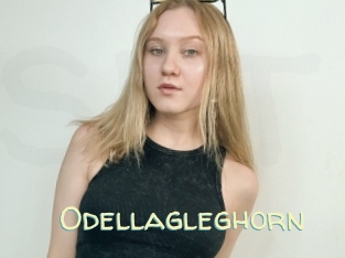 Odellagleghorn