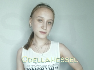Odellahessel