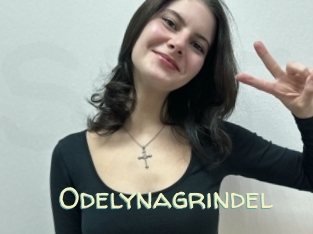 Odelynagrindel