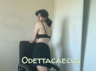Odettacaecus