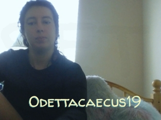 Odettacaecus19