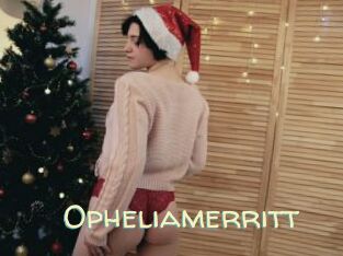 Opheliamerritt