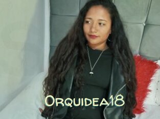 Orquidea18