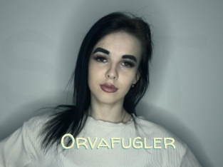 Orvafugler