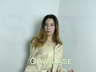Orvahase