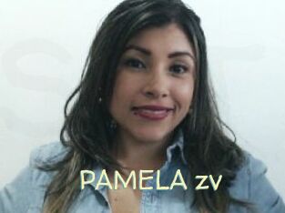 PAMELA_zv