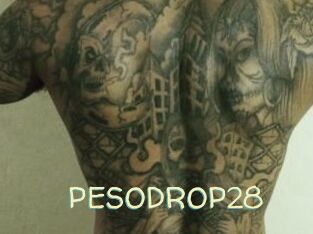 PESODROP28