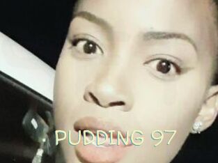 PUDDING_97