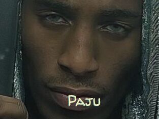 Paju