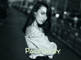PaleDaisy
