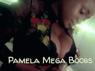 Pamela_Mega_Boobs