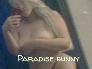 Paradise_bunny