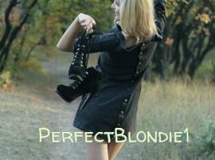 PerfectBlondie1