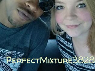 PerfectMixture3828