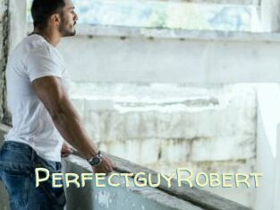 PerfectguyRobert