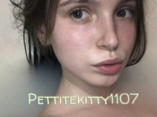 Pettitekitty1107