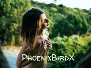 PhoenixBirdX Sexy Tchat